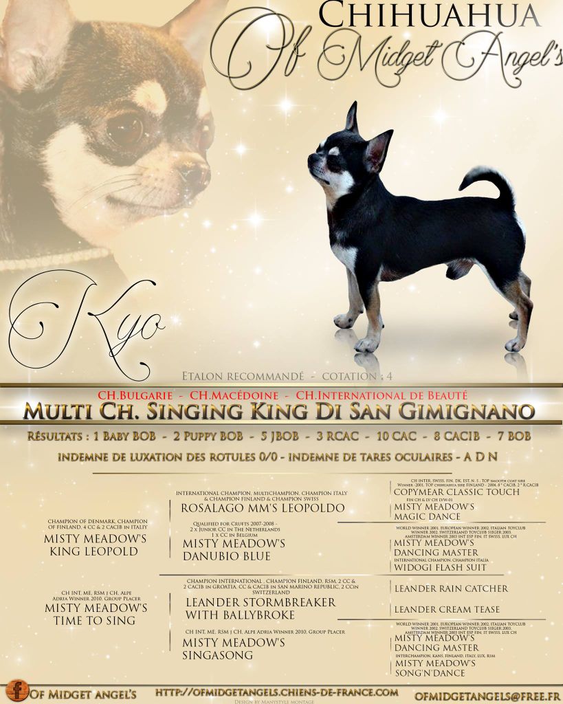 CH. Singing king (dit kyo) di san gimignano