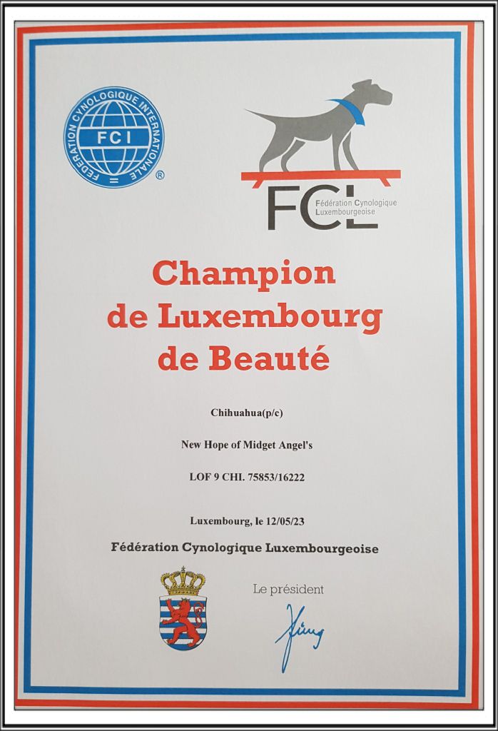 CHAMPIONNE DU LUXEMBOURG