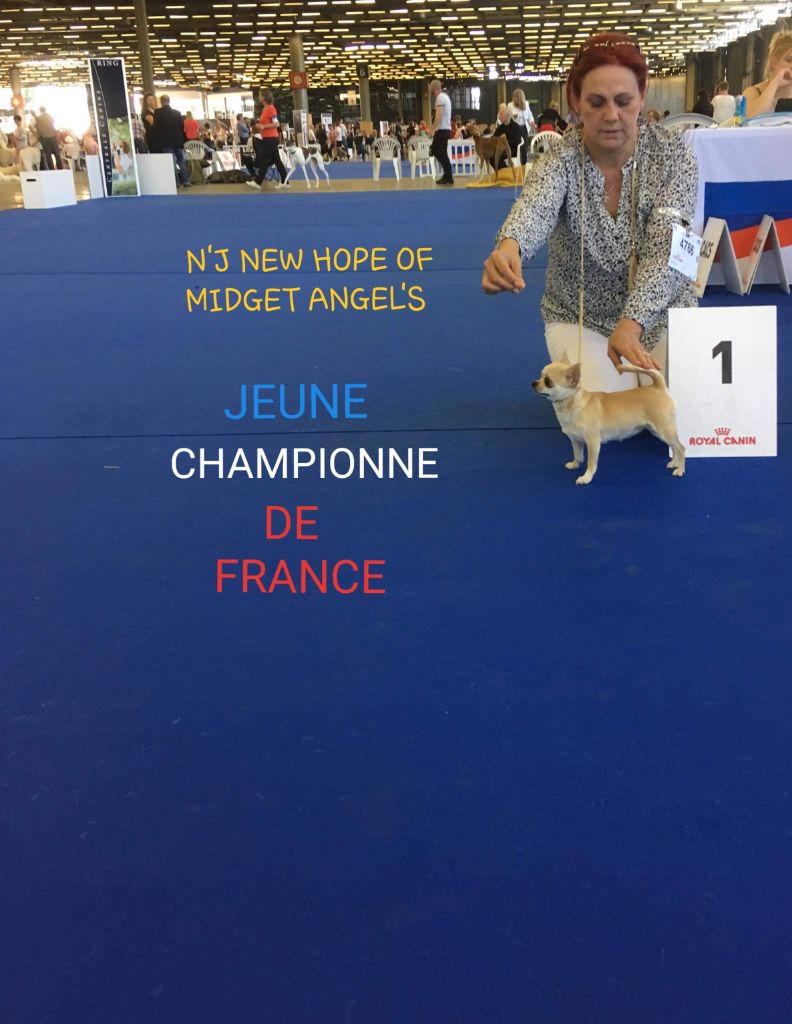 Of Midget Angel's - CHAMPION DE FRANCE JEUNE et JUNIOR LATIN WINNER '19