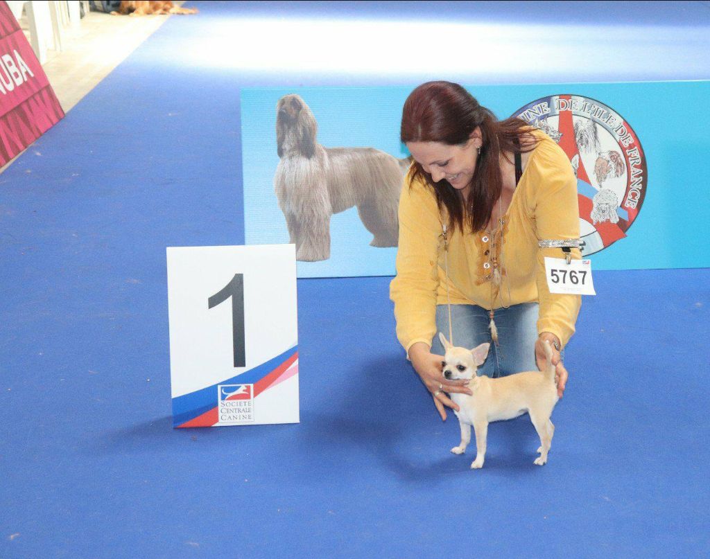 Of Midget Angel's - CHAMPIONNAT DE FRANCE '18